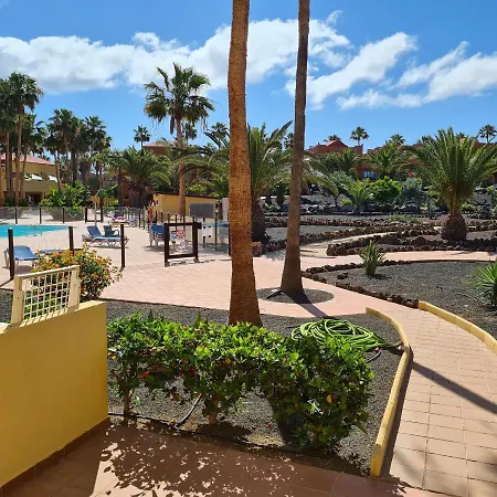 Appartement Oasis Royal F217 *